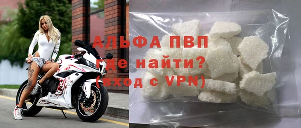 гидра Бородино